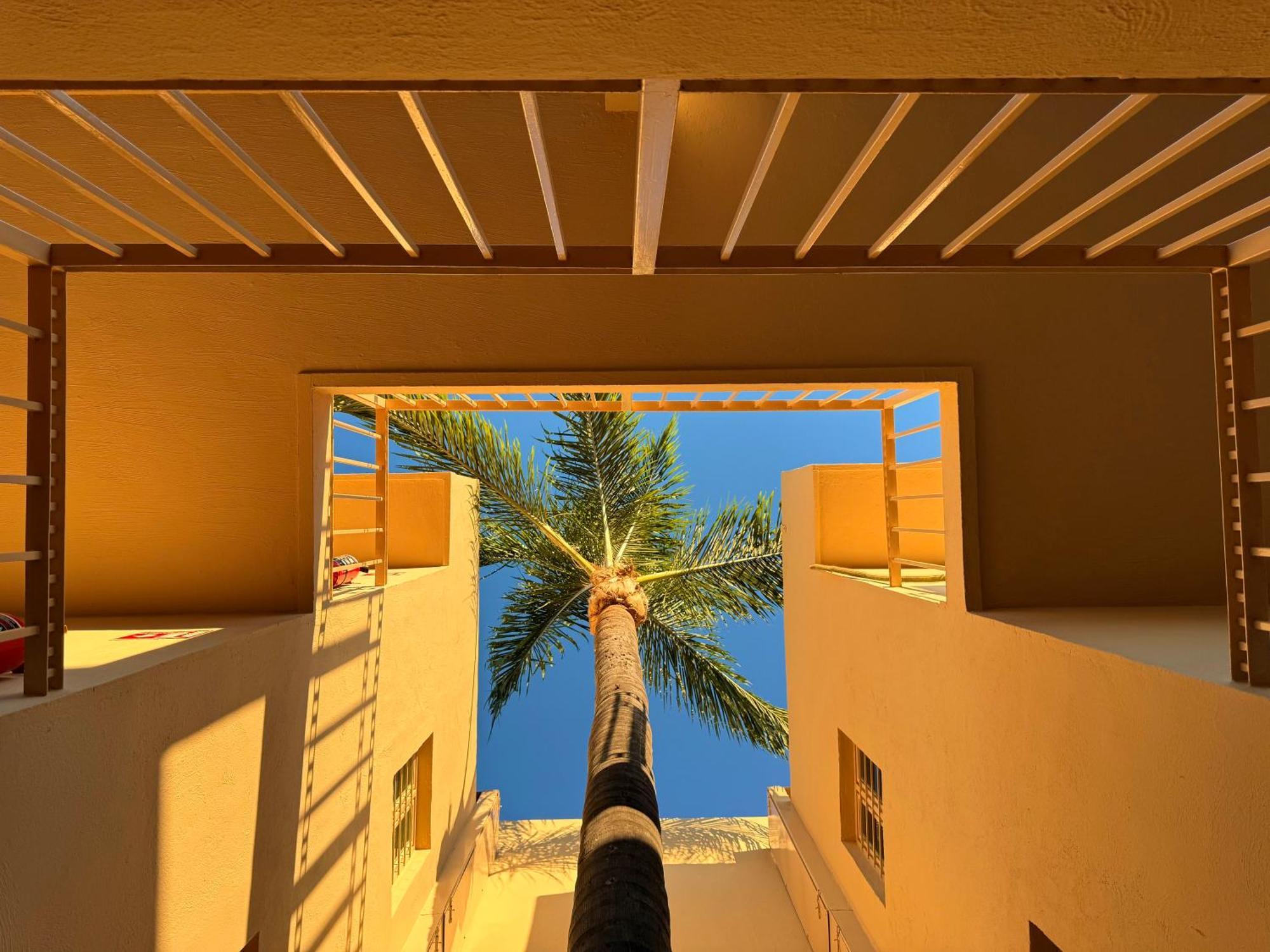 Villa La Palma Hotel Tequila Zewnętrze zdjęcie