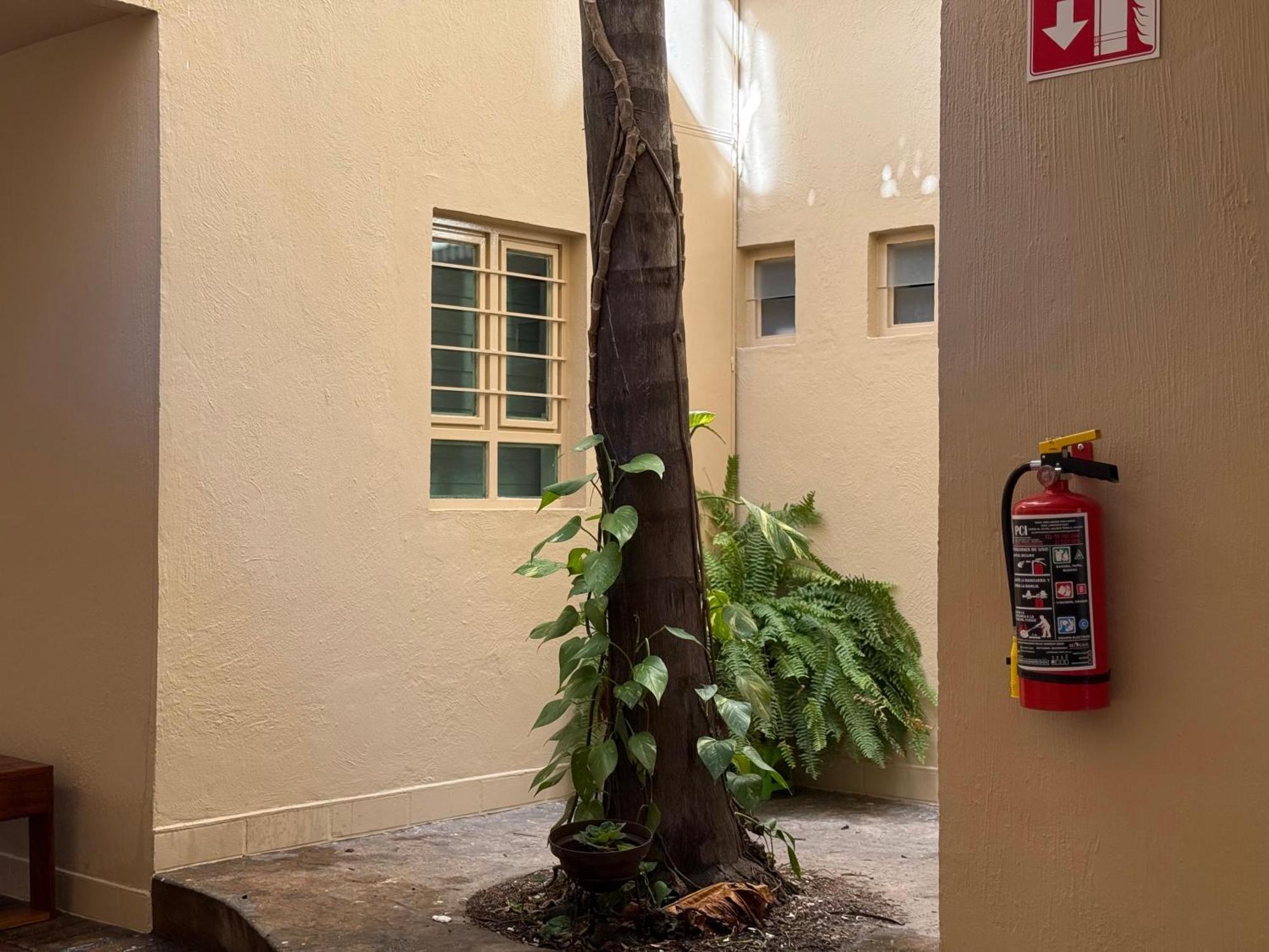 Villa La Palma Hotel Tequila Zewnętrze zdjęcie
